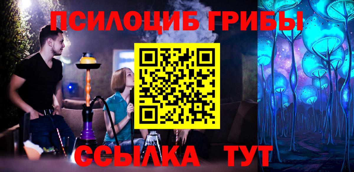 Псилоцибиновые грибы Cubensis  Вход с VPN  Кизляр 